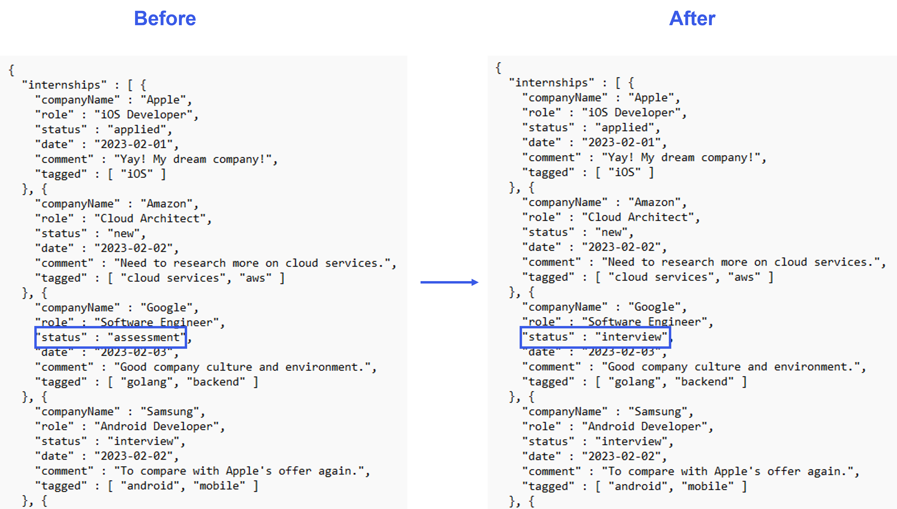 Editing the JSON File